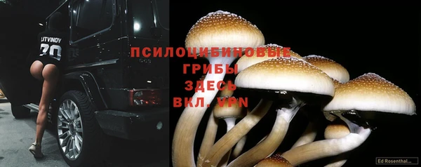 прущая мука Няндома
