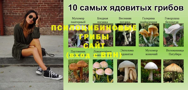 прущая мука Няндома