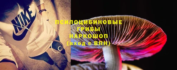 прущая мука Няндома