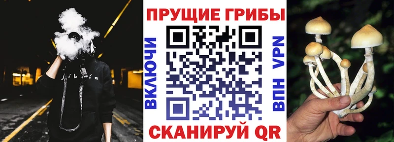 Галлюциногенные грибы мухоморы Ангарск